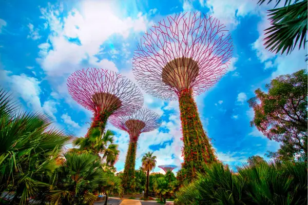 Os Jardins Suspensos de Singapura: Supertrees Grove