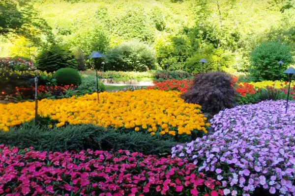 Os Jardins de Butchart: Oásis Floral no Canadá