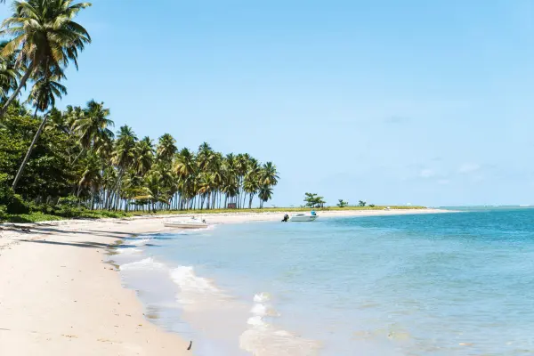 As 14 Melhores Praias do Brasil: Um Guia para os Amantes do Mar